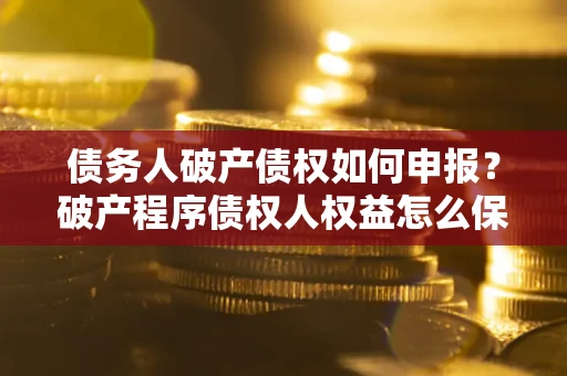 北京债务人破产债权如何申报？破产程序债权人权益怎么保障？