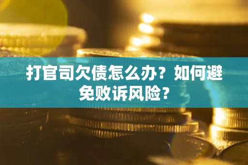 北京打官司欠债怎么办？如何避免败诉风险？