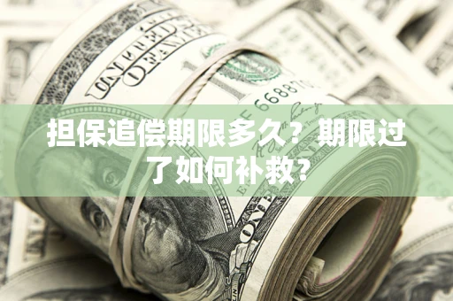 北京担保追偿期限多久？期限过了如何补救？